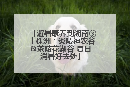 避暑康养到湖南③丨株洲：炎陵神农谷&茶陵花湖谷 夏日消暑好去处