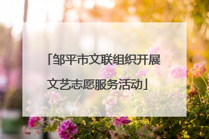 邹平市文联组织开展文艺志愿服务活动