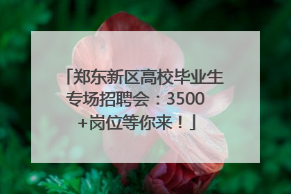 郑东新区高校毕业生专场招聘会：3500+岗位等你来！