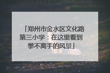 郑州市金水区文化路第三小学：在这里看到拳不离手的风景