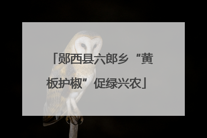 郧西县六郎乡“黄板护椒”促绿兴农
