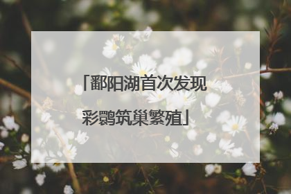 鄱阳湖首次发现彩鹮筑巢繁殖
