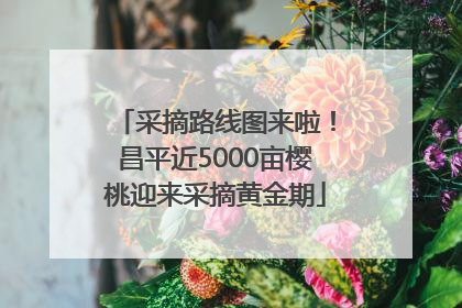 采摘路线图来啦！昌平近5000亩樱桃迎来采摘黄金期