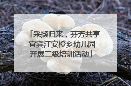 采撷归来，芬芳共享 宜宾江安橙乡幼儿园开展二级培训活动