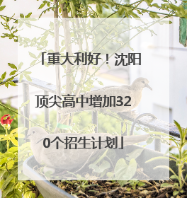 重大利好！沈阳顶尖高中增加320个招生计划