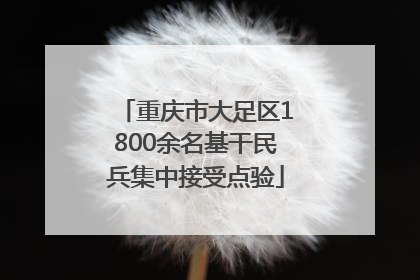 重庆市大足区1800余名基干民兵集中接受点验