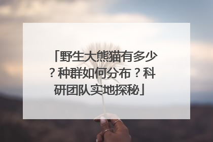 野生大熊猫有多少？种群如何分布？科研团队实地探秘