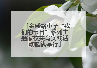 金盛路小学“我们的节目”系列主题家校共育实践活动圆满举行