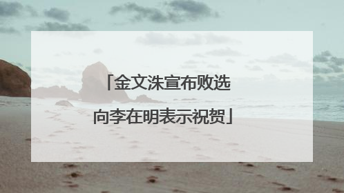 金文洙宣布败选 向李在明表示祝贺