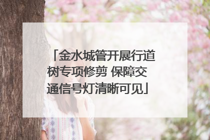 金水城管开展行道树专项修剪 保障交通信号灯清晰可见