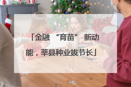金融 “育苗” 新动能，莘县种业拔节长