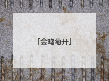 金鸡菊开