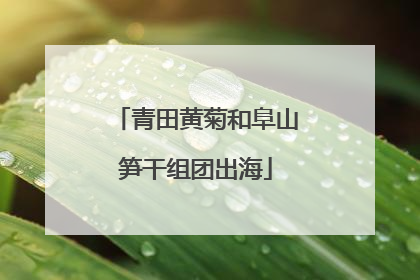 青田黄菊和阜山笋干组团出海