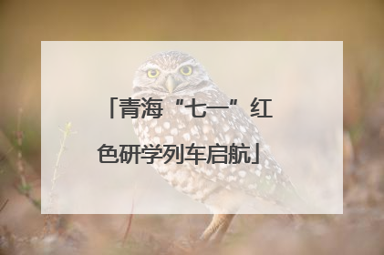 青海“七一”红色研学列车启航