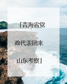 青海省党政代表团来山东考察