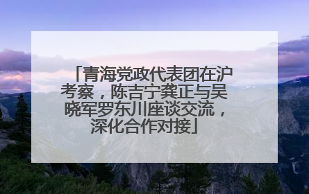 青海党政代表团在沪考察，陈吉宁龚正与吴晓军罗东川座谈交流，深化合作对接