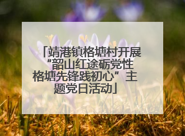 靖港镇格塘村开展“韶山红途砺党性 格塘先锋践初心”主题党日活动