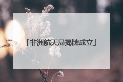 非洲航天局揭牌成立