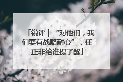 锐评｜“对他们，我们要有战略耐心”，任正非给谁提了醒