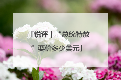锐评｜“总统特赦”要价多少美元