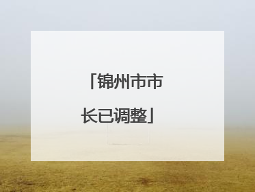 锦州市市长已调整