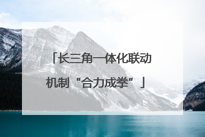 长三角一体化联动机制“合力成拳”