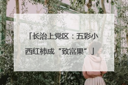长治上党区：五彩小西红柿成“致富果”