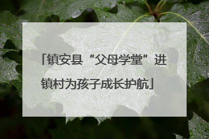 镇安县“父母学堂”进镇村为孩子成长护航