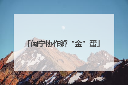 闽宁协作孵“金”蛋