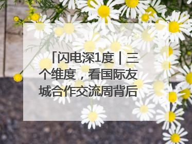 闪电深1度｜三个维度，看国际友城合作交流周背后的山东开放