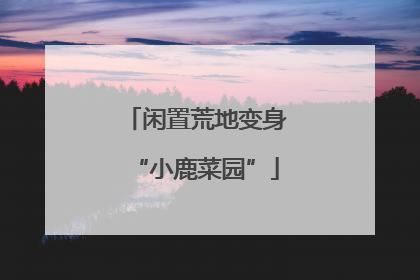 闲置荒地变身“小鹿菜园”