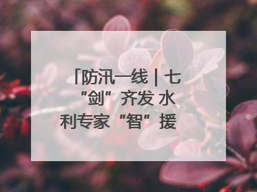 防汛一线｜七“剑”齐发 水利专家“智”援湘西北抗洪流