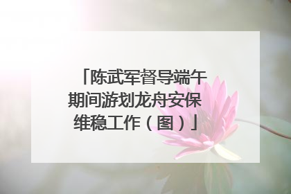 陈武军督导端午期间游划龙舟安保维稳工作（图）