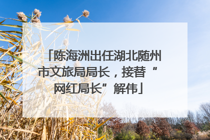 陈海洲出任湖北随州市文旅局局长，接替“网红局长”解伟