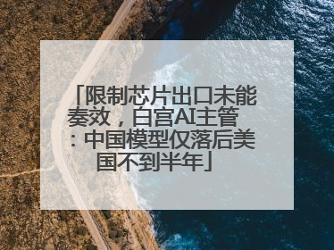 限制芯片出口未能奏效，白宫AI主管：中国模型仅落后美国不到半年