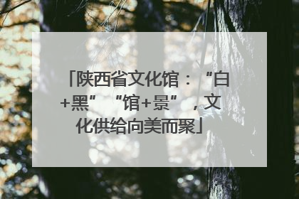 陕西省文化馆：“白+黑”“馆+景”，文化供给向美而聚