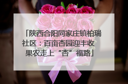 陕西合阳同家庄镇柏瑞社区：百亩杏园迎丰收 果农走上“杏”福路