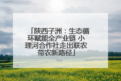 陕西子洲：生态循环赋能全产业链 小理河合作社走出联农带农新路径