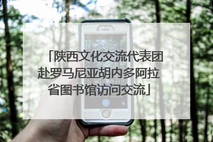 陕西文化交流代表团赴罗马尼亚胡内多阿拉省图书馆访问交流