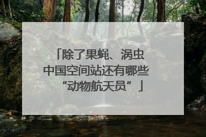 除了果蝇、涡虫 中国空间站还有哪些“动物航天员”
