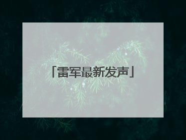 雷军最新发声