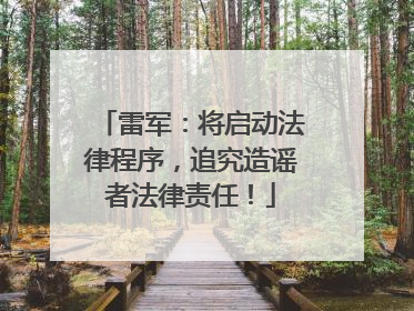 雷军：将启动法律程序，追究造谣者法律责任！