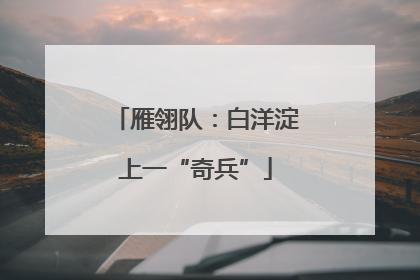 雁翎队：白洋淀上一“奇兵”