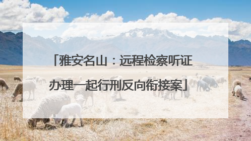 雅安名山：远程检察听证 办理一起行刑反向衔接案