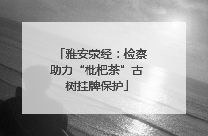 雅安荥经：检察助力“枇杷茶”古树挂牌保护