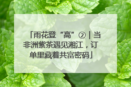雨花登“高”②｜当非洲紫茶遇见湘江，订单里藏着共富密码