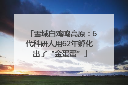 雪域白鸡鸣高原：6代科研人用62年孵化出了“金蛋蛋”