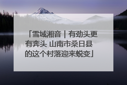 雪域湘音｜有劲头更有奔头 山南市桑日县的这个村落迎来蜕变