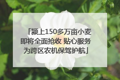 颍上150多万亩小麦即将全面抢收 贴心服务为跨区农机保驾护航