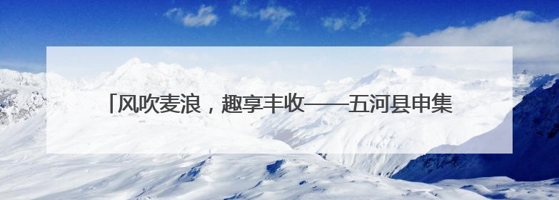 风吹麦浪，趣享丰收——五河县申集镇大李小学开展劳动教育实践活动